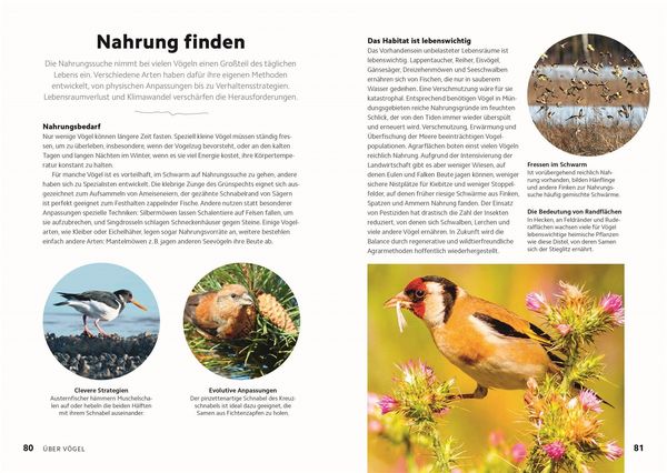 Produktbild: V&ouml;gel beobachten und ihre Lebensr&auml;ume kennenlernen