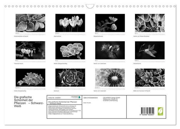Produktbild: Die grafische Sch&ouml;nheit der Pflanzen &ndash; Schwarz-Wei&szlig; (Wandkalender 2027 DIN A3 quer), CALVENDO Monatskalender