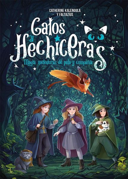 Produktbild: Gatos Y Hechiceras