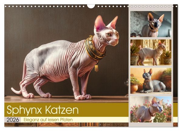 Produktbild: Sphinx Katzen. Eleganz auf leisen Pfoten (Wandkalender 2026 DIN A3 quer), CALVENDO Monatskalender