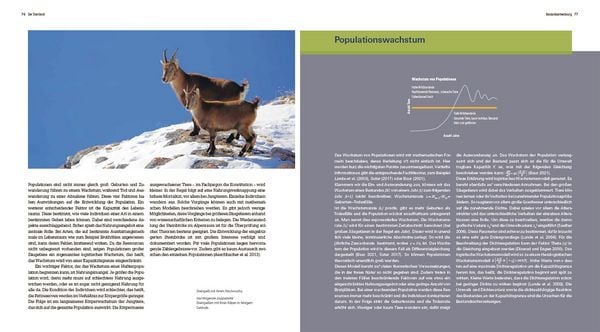 Produktbild: Der Steinbock