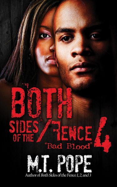 Produktbild: Both Sides of the Fence 4