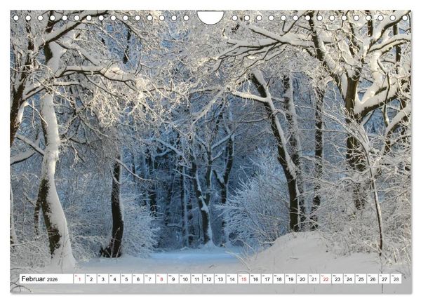Produktbild: Winterm&auml;rchen Landschaften im Schnee (Wandkalender 2026 DIN A4 quer), CALVENDO Monatskalender