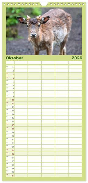 Produktbild: Familienplaner 2026 - Heimische Tiere - Rehe mit 5 Spalten (Wandkalender, 21 x 45 cm) CALVENDO