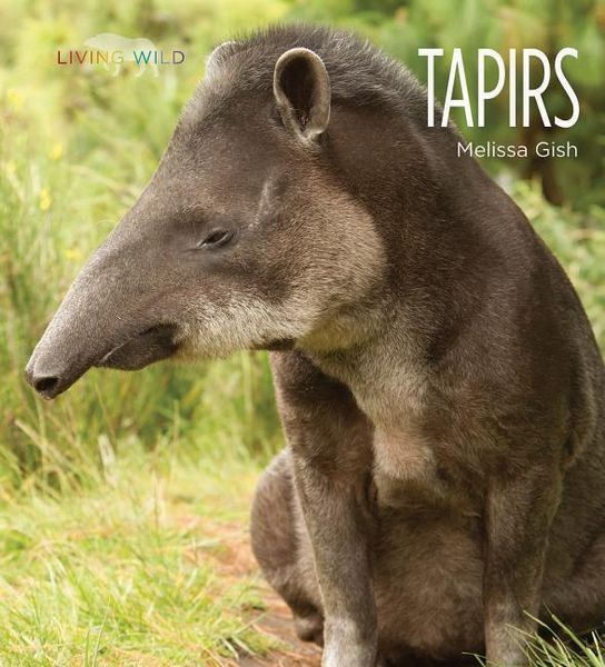 Produktbild: Tapirs