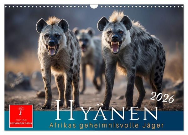 Produktbild: Hy&auml;nen - Afrikas geheimnisvolle J&auml;ger (Wandkalender 2026 DIN A3 quer), CALVENDO Monatskalender