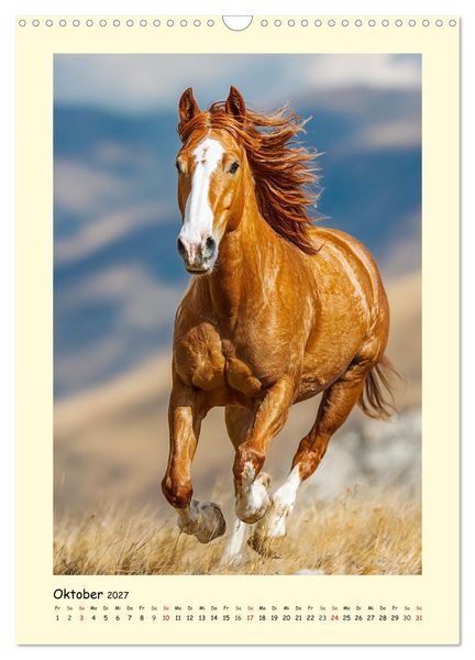 Produktbild: Westernpferde. Quarter Horse und Paint Horse auf dem Farmland (Wandkalender 2027 DIN A3 hoch), CALVENDO Monatskalender