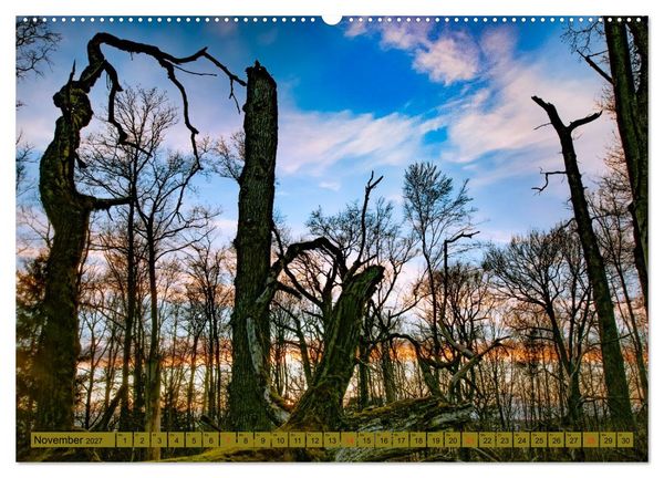 Produktbild: B&auml;ume sind Tr&auml;ume (hochwertiger Premium Wandkalender 2027 DIN A2 quer), Kunstdruck in Hochglanz