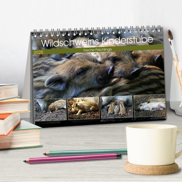 Produktbild: Wildschweins Kinderstube - Freche Frischlinge (Tischkalender 2026 DIN A5 quer), CALVENDO Monatskalender