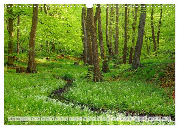 Produktbild: Moore und B&auml;che in Eifel und Ardennen (Wandkalender 2026 DIN A3 quer), CALVENDO Monatskalender