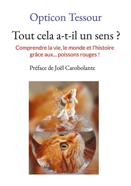 Produktbild: Tout cela a-t-il un sens ?
