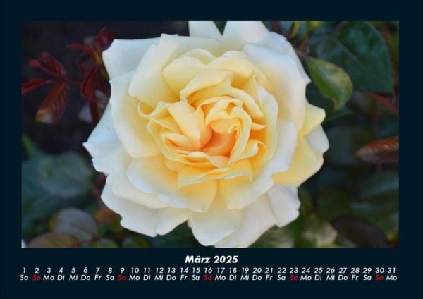 Produktbild: Bilder aus der Natur 2025 Fotokalender DIN A4