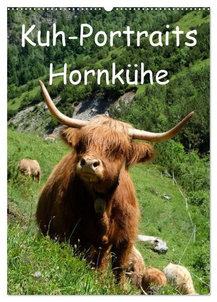 Kuhportraits Hornkühe (Wandkalender 2026 DIN A2 hoch), CALVENDO Monatskalender