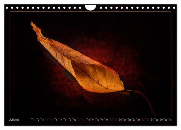 Produktbild: Blattkunstwerke (Wandkalender 2026 DIN A4 quer), CALVENDO Monatskalender