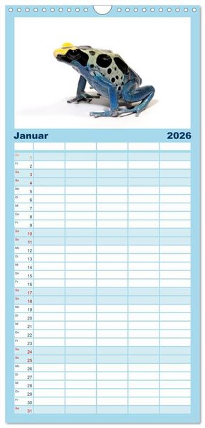 Produktbild: Familienplaner 2026 - Farbenpracht der Fr&ouml;sche mit 5 Spalten (Wandkalender, 21 x 45 cm) CALVENDO