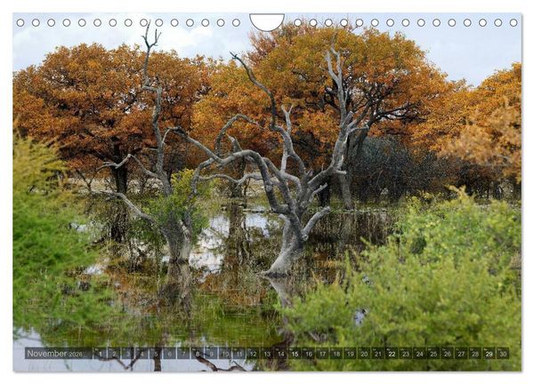 Produktbild: Namibia - Die Landschaft (Wandkalender 2026 DIN A4 quer), CALVENDO Monatskalender