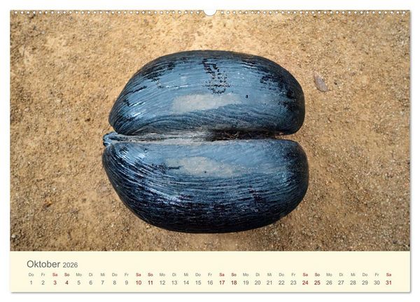 Produktbild: Traumhafte Seychellen (hochwertiger Premium Wandkalender 2026 DIN A2 quer), Kunstdruck in Hochglanz