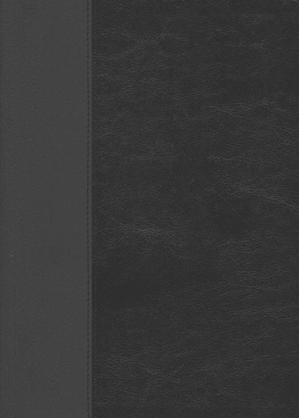 Produktbild: Every Man's Bible-NLT-Large Print