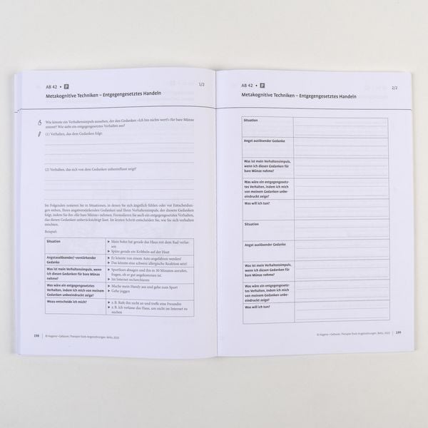 Produktbild: Therapie-Tools Angststörungen