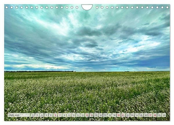 Produktbild: Fischland zwischen Ostsee und Bodden (Wandkalender 2026 DIN A4 quer), CALVENDO Monatskalender
