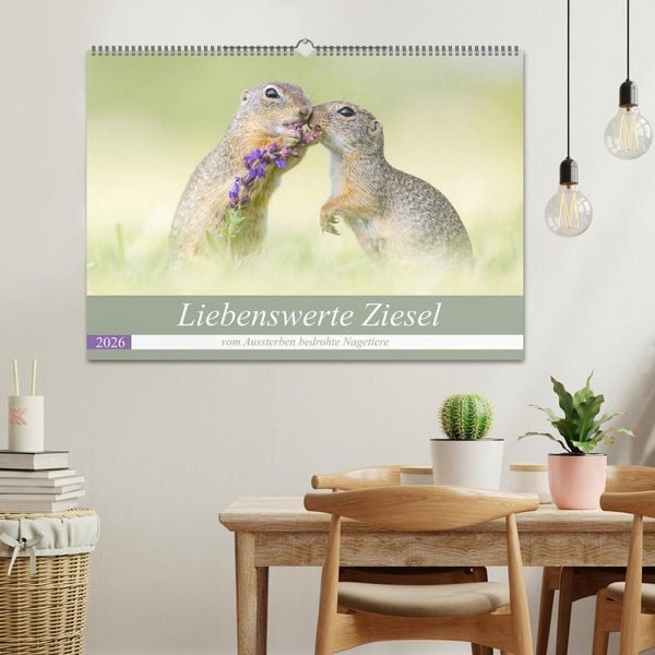 Produktbild: Liebenswerte Ziesel - vom Aussterben bedrohte Nagetiere (Wandkalender 2026 DIN A2 quer), CALVENDO Monatskalender