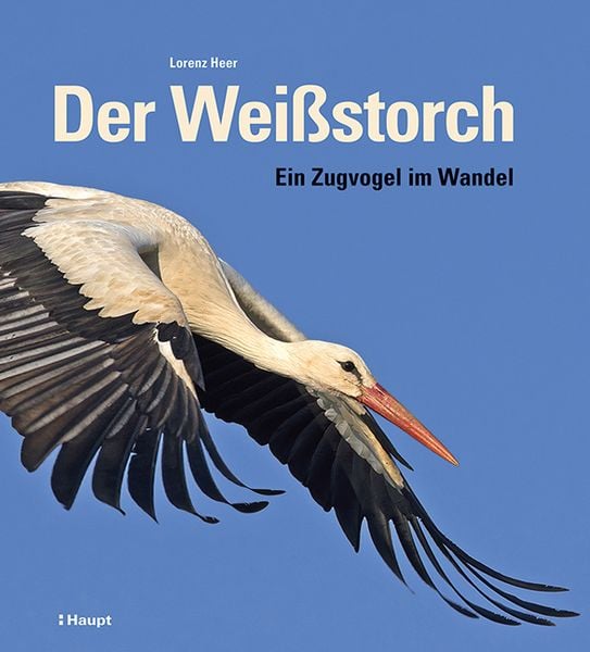 Der Weißstorch, Gebundene Ausgabe von Lorenz Heer, Haupt Verlag, 9783258083544