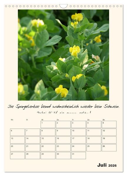 Produktbild: Gartengeschichten (Wandkalender 2026 DIN A3 hoch), CALVENDO Monatskalender