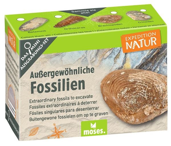 Produktbild: Expedition Natur Mini-Ausgrabungssets