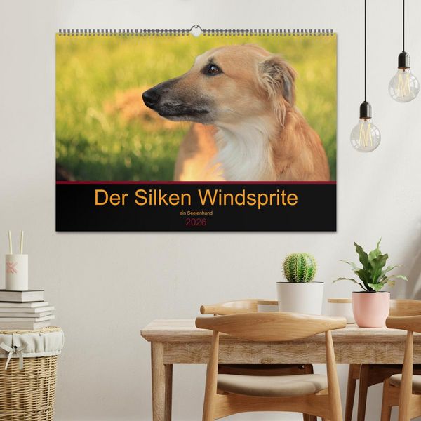 Produktbild: Der Silken Windsprite - ein Seelenhund (Wandkalender 2026 DIN A2 quer), CALVENDO Monatskalender