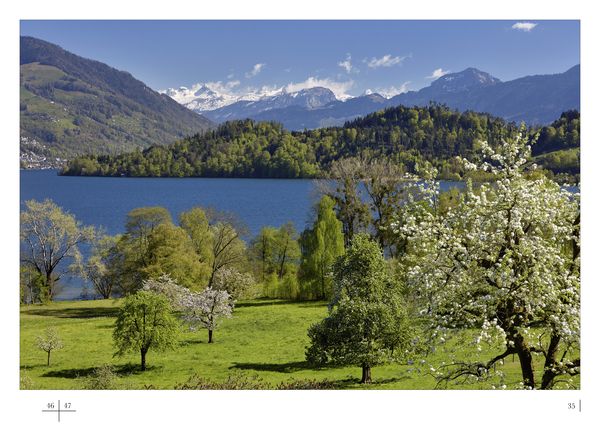 Produktbild: Chiemen-Halbinsel, Naturoase am Zugersee im Wandel der Jahreszeiten