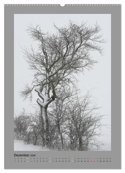 Produktbild: Jahreszeiten (hochwertiger Premium Wandkalender 2026 DIN A2 hoch), Kunstdruck in Hochglanz