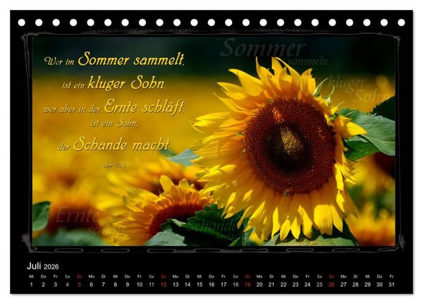 Produktbild: Monat f&uuml;r Monat ein Bibelvers (Tischkalender 2026 DIN A5 quer), CALVENDO Monatskalender