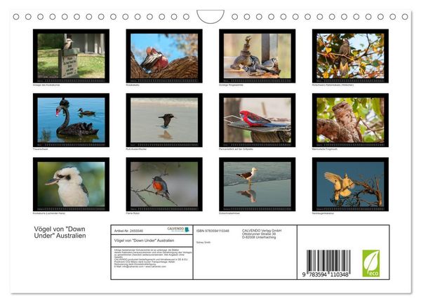 Produktbild: V&ouml;gel von "Down Under" Australien (Wandkalender 2027 DIN A4 quer), CALVENDO Monatskalender
