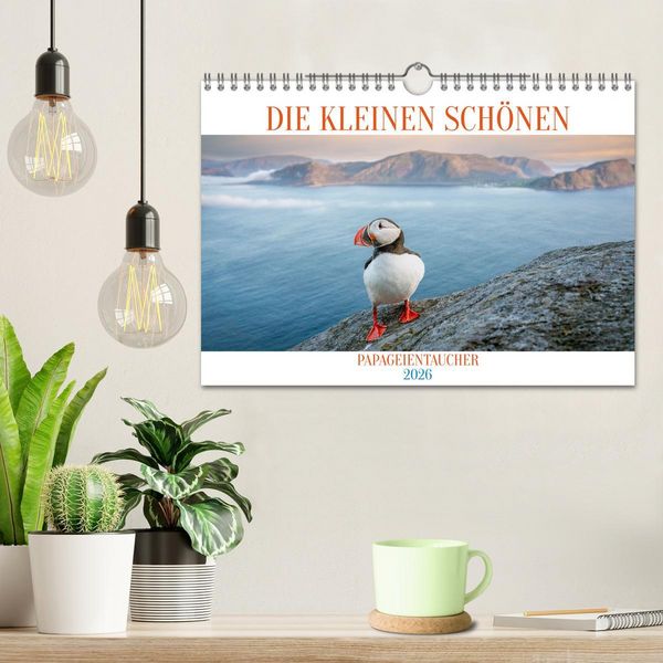 Produktbild: Die kleinen sch&ouml;nen (Wandkalender 2026 DIN A4 quer), CALVENDO Monatskalender