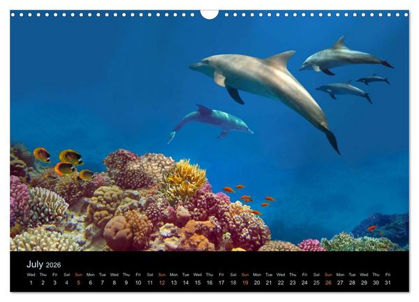 Produktbild: Water Dreams-journey through the sea (Wall Calendar 2026 DIN A3 landscape), CALVENDO 12 Month Wall Calendar