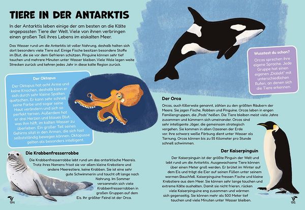 Produktbild: Der Kinder Pocket Weltatlas