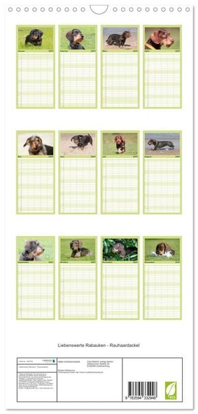 Produktbild: Familienplaner 2027 - Liebenswerte Rabauken - Rauhaardackel mit 5 Spalten (Wandkalender, 21 x 45 cm) CALVENDO