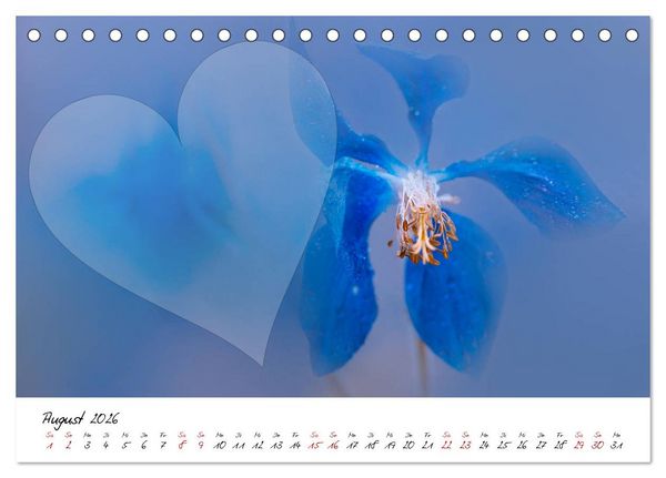 Produktbild: Blauer Bl&uuml;tentraum - Bastelkalender (Tischkalender 2026 DIN A5 quer), CALVENDO Monatskalender