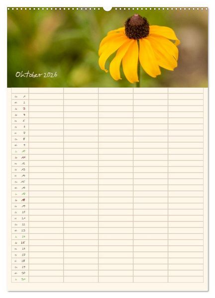 Produktbild: Mit Blick in den Garten (Wandkalender 2026 DIN A2 hoch), CALVENDO Monatskalender