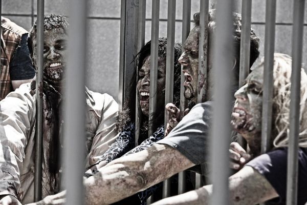 Produktbild: Z Nation - Staffel 1 [3 DVDs]