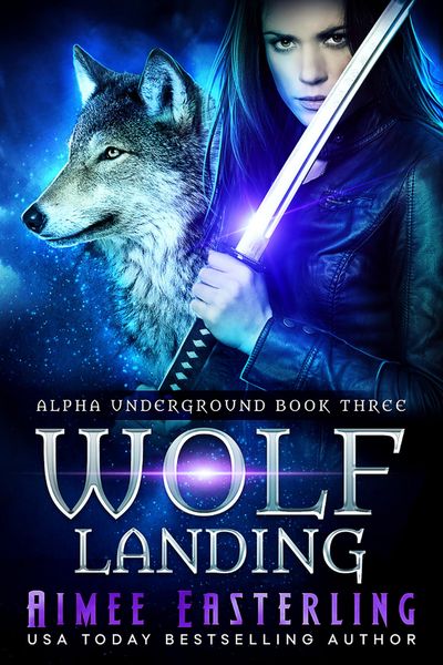 Produktbild: Wolf Landing