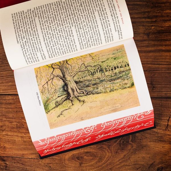 Produktbild: LORD OF RINGS HB