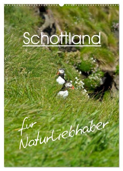 Produktbild: Schottland f&uuml;r Naturliebhaber (Wandkalender 2026 DIN A2 hoch), CALVENDO Monatskalender