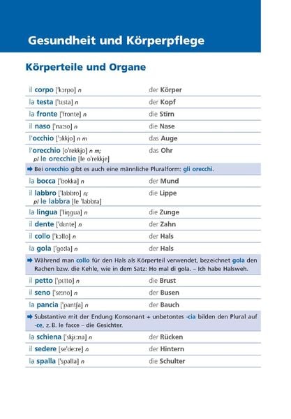 Produktbild: Langenscheidt Grundwortschatz Italienisch