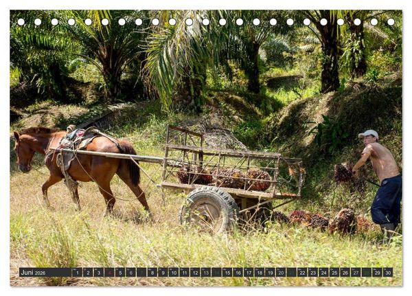 Produktbild: COSTA RICA - PURA VIDA (Tischkalender 2026 DIN A5 quer), CALVENDO Monatskalender