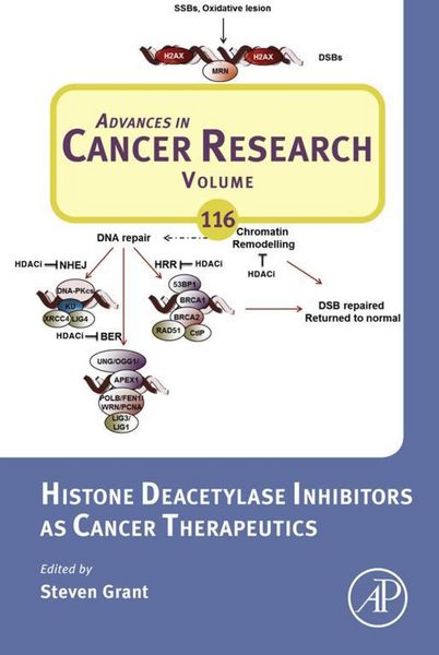 Produktbild: Histone Deacetylase Inhibitors as Cancer Therapeutics