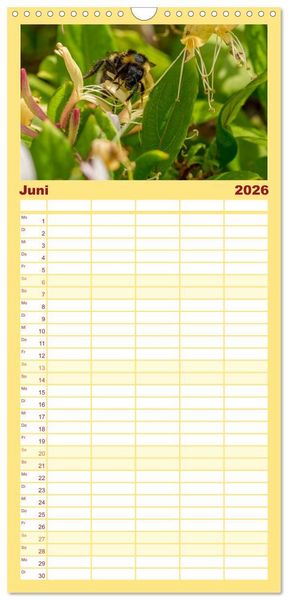 Produktbild: Familienplaner 2026 - Bienenkalender mit 5 Spalten (Wandkalender, 21 x 45 cm) CALVENDO