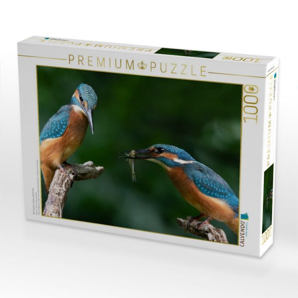 Produktbild: CALVENDO Puzzle Nun komm schon, nimm ihn. | 1000 Teile Lege-Gr&ouml;&szlig;e 64x48cm Foto-Puzzle f&uuml;r gl&uuml;ckliche Stunden