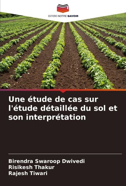 Produktbild: Une &eacute;tude de cas sur l'&eacute;tude d&eacute;taill&eacute;e du sol et son interpr&eacute;tation