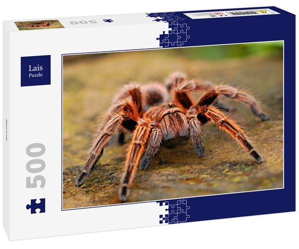 Lais Puzzle Spinne 500 Teile